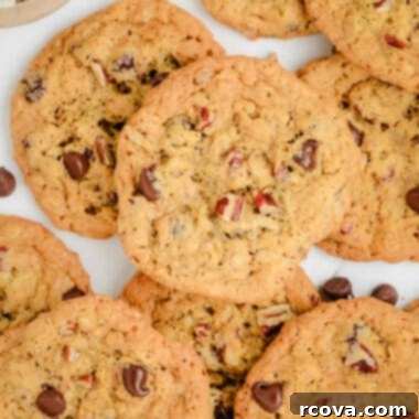 Ten-Cup Cookie Delights 6 10 cup cookies with peanut butter, oats, coconut, pecans and more