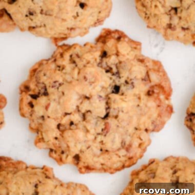 Chewy Toffee Pecan Oatmeal Delights 6 oatmeal toffee pecan cookies on a baking sheet, golden and delicious