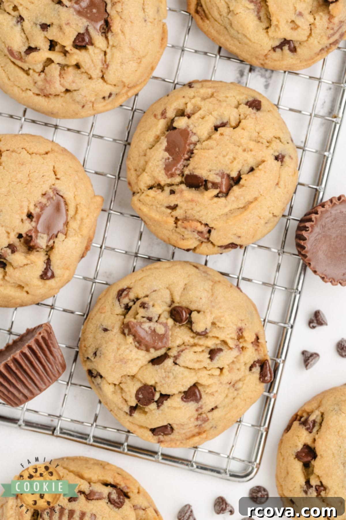 Reese's Peanut Butter Pudding Cookies 16 A tray of freshly baked Reese's Peanut Butter Pudding Cookies with visible chocolate chips and Reese's pieces, ready to be enjoyed.