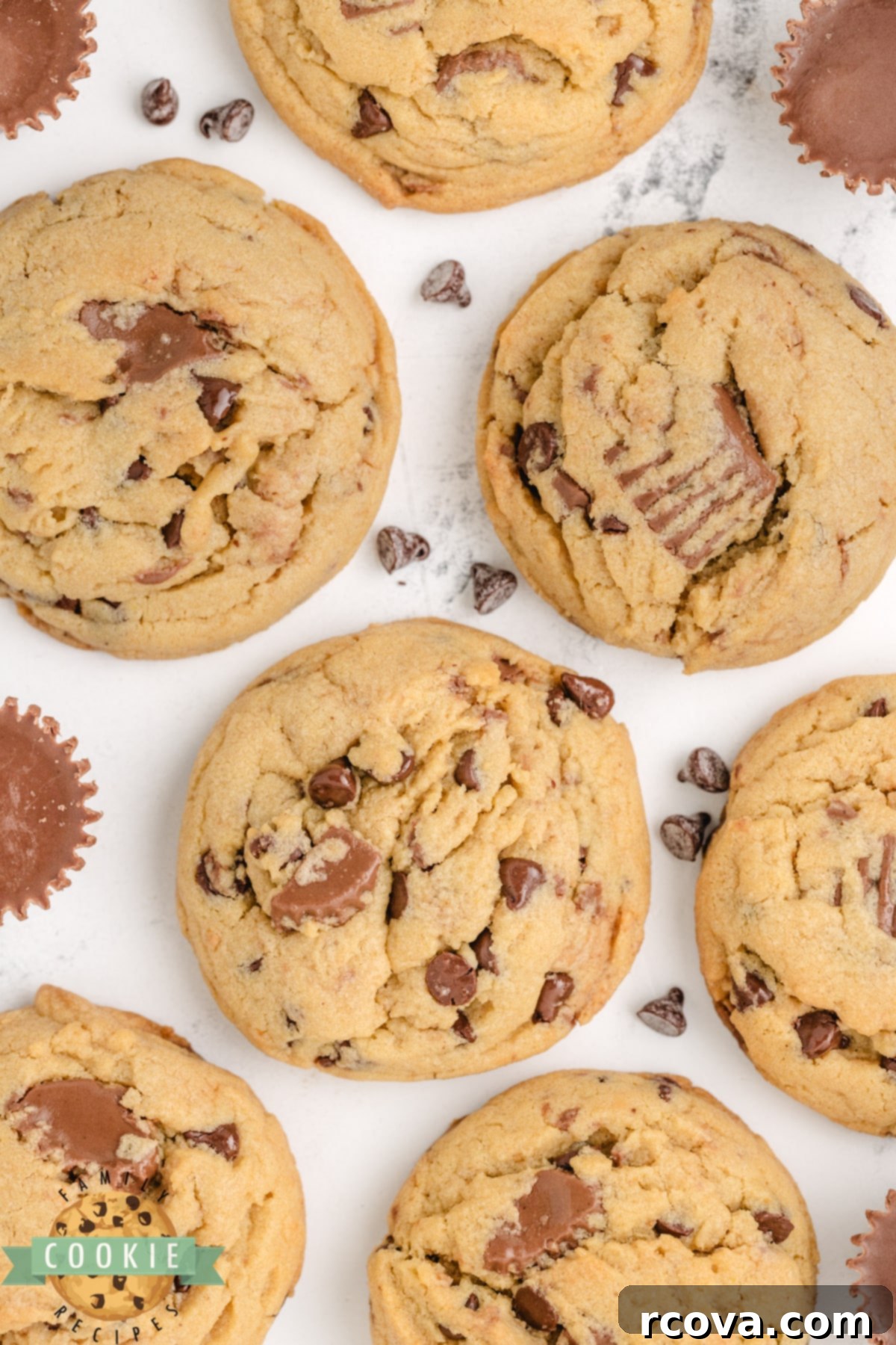 Reese's Peanut Butter Pudding Cookies 18 A close-up shot of a single Reese's Peanut Butter Pudding Cookie, showing its soft interior and chunks of Reese's, perfect for a treat.