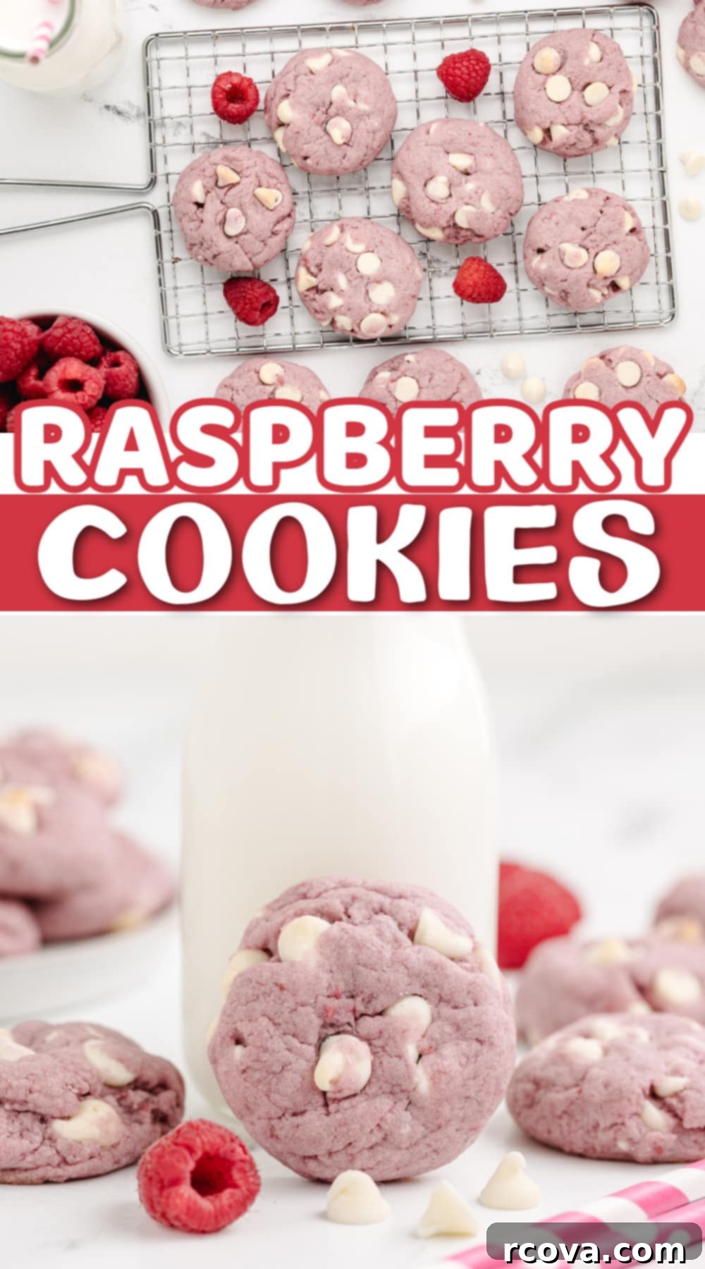Ruby Red Raspberry Bites 15 Plate of perfectly baked Raspberry White Chocolate Chip Cookies, ready to be enjoyed.