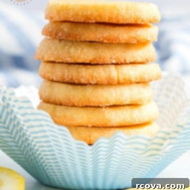 Effortless Lemon Zest Cookies 7 Lemon Slice and Bake Shortbread cookies