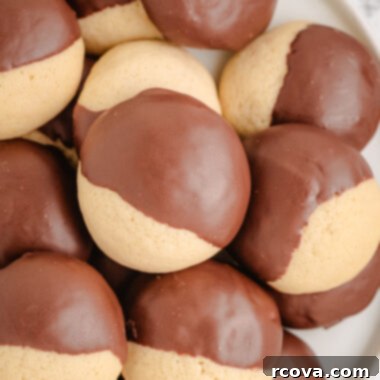 Chocolate-Kissed Vanilla Bliss 5 chocolate dipped vanilla cookies