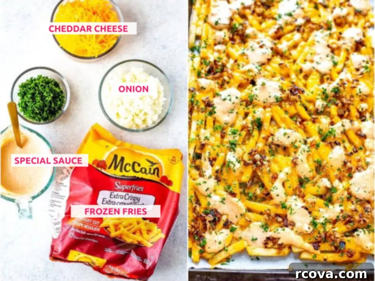 Make Your Own In-N-Out Animal Style Fries 4 Ingredients for animal fries: Frozen fries, onions, cheese and special sauce.