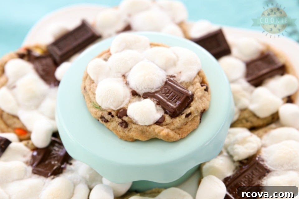 Gooey S'mores Cookies 11 S'Mores Chocolate Chip Cookie Recipe