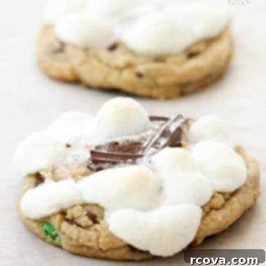 Gooey S'mores Cookies 8 img 3661 7