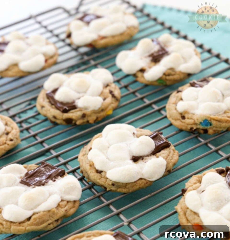 Gooey S'mores Cookies 9 S'Mores Chocolate Chip Cookie Recipe