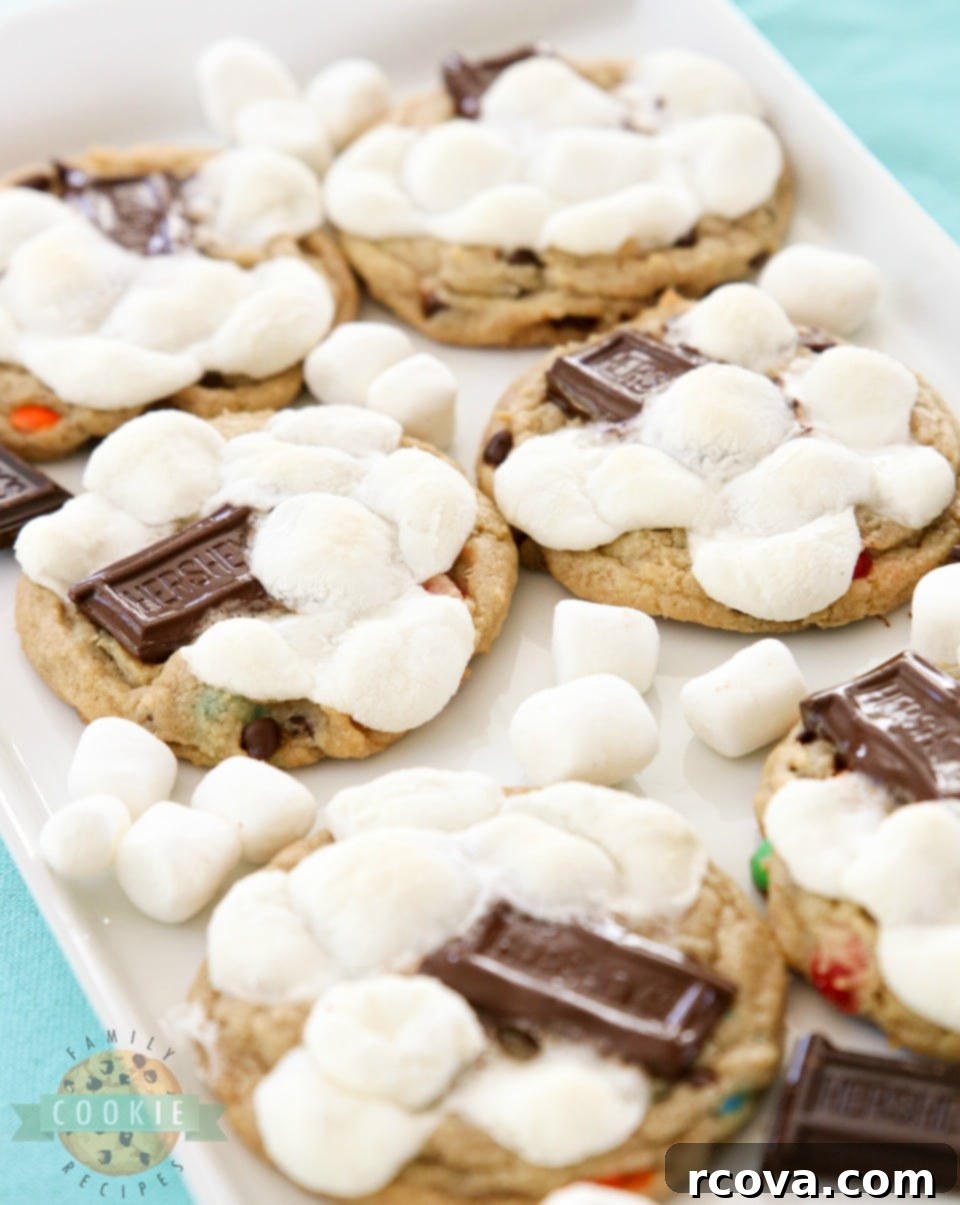 Gooey S'mores Cookies 10 S'Mores Chocolate Chip Cookie Recipe