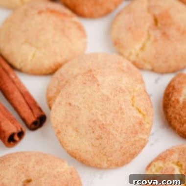 Effortless Cake Mix Snickerdoodles 5 platter with cake mix snickerdoodles