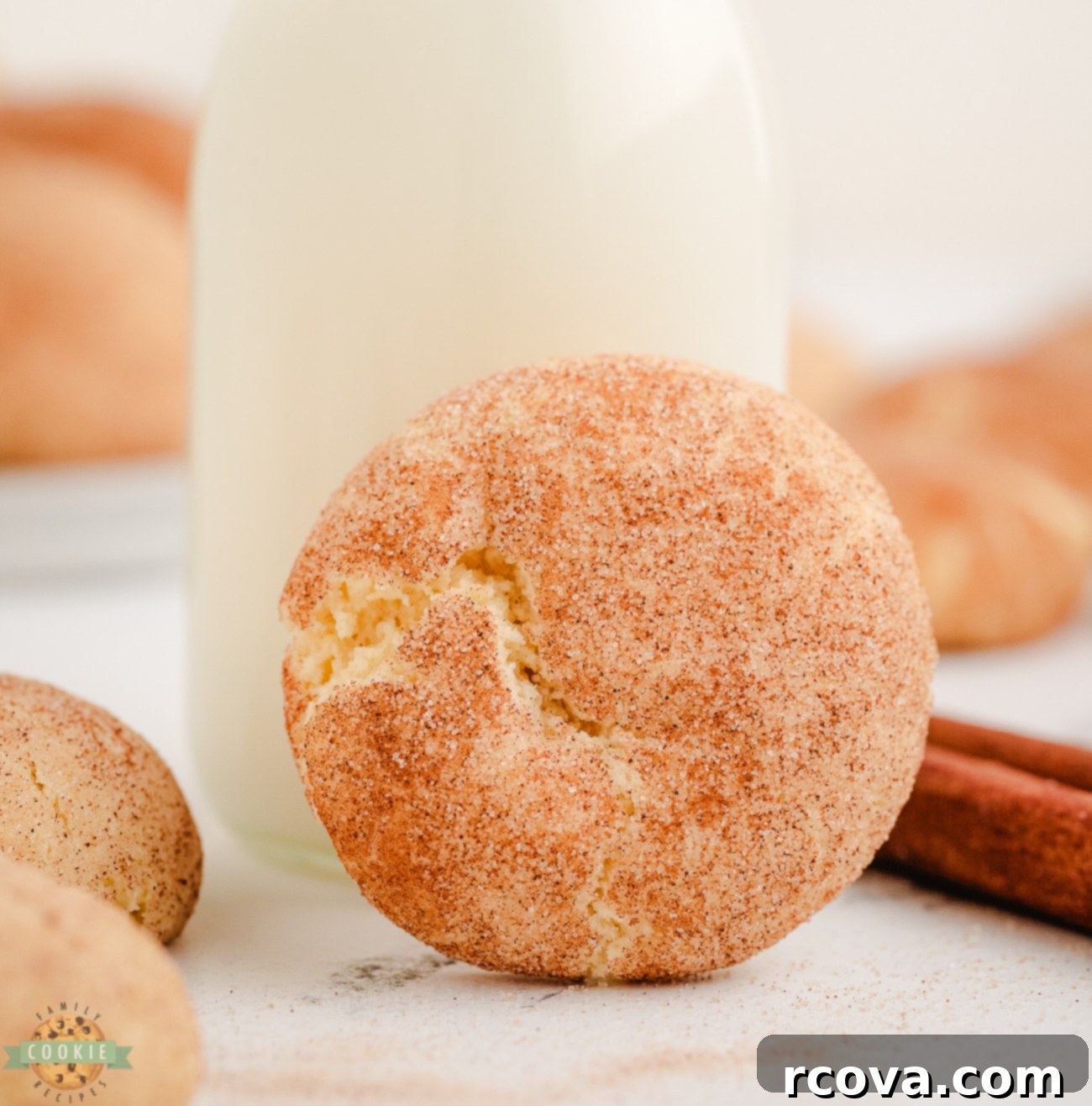 Effortless Cake Mix Snickerdoodles 6 A single soft, golden snickerdoodle cookie made from a cake mix, showcasing its crackled, cinnamon-sugar coating on a patterned surface.