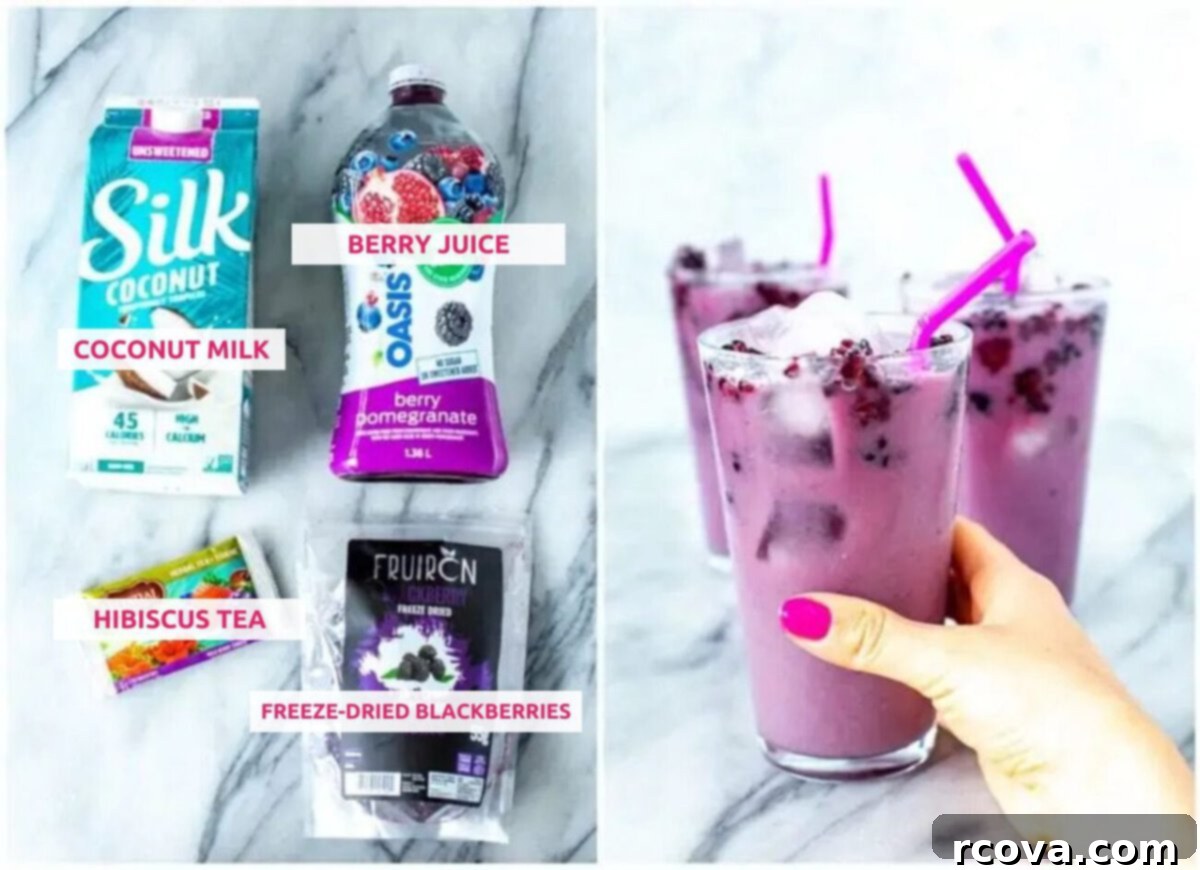 Copycat Starbucks Purple Drink Recipe 4 Close-up shot of all the ingredients needed for a Starbucks purple drink copycat recipe: a carton of coconut milk, a bottle of berry juice, a cup of brewed hibiscus tea, and a small bowl of freeze-dried blackberries.