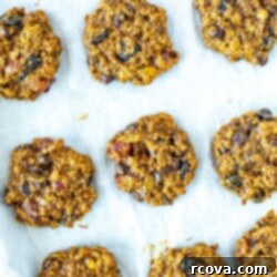 Wholesome Banana Oat Morning Fuel Cookies 11 Banana Oatmeal Breakfast Cookies
