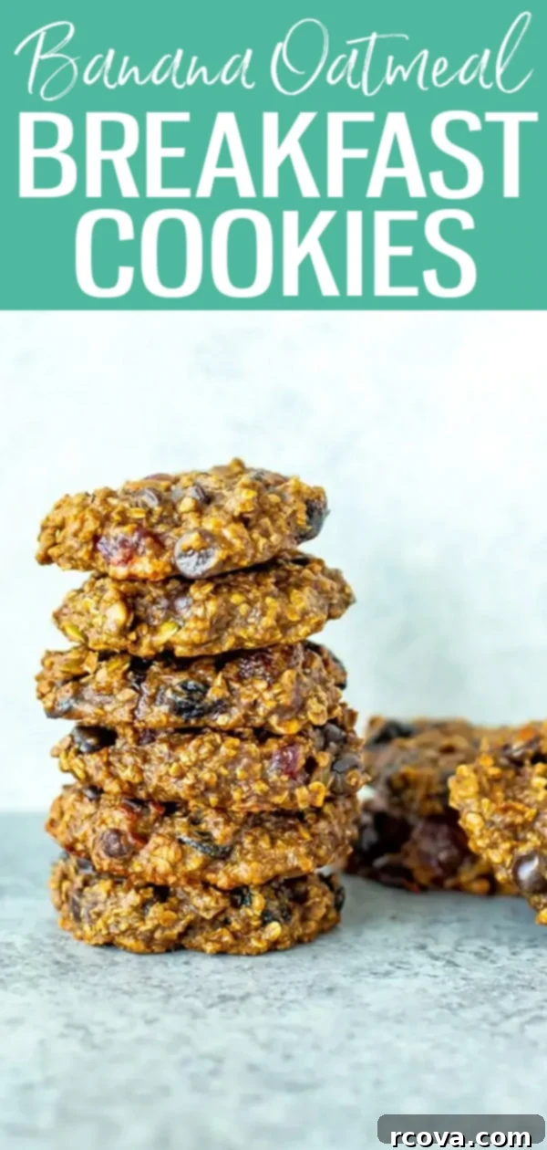 Wholesome Banana Oat Morning Fuel Cookies 12 These Banana Oatmeal Breakfast Cookies are packed with protein and fibre. All you need are 4 ingredients and you can freeze them for later! #bananaoatmeal #breakfastcookies