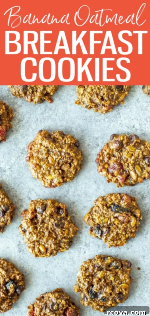 Wholesome Banana Oat Morning Fuel Cookies 13 These Banana Oatmeal Breakfast Cookies are packed with protein and fibre. All you need are 4 ingredients and you can freeze them for later! #bananaoatmeal #breakfastcookies