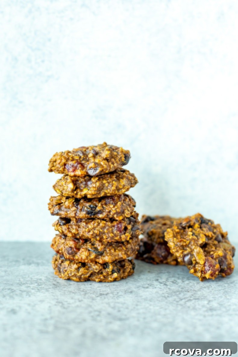 Wholesome Banana Oat Morning Fuel Cookies 8 Banana Oatmeal Breakfast Cookies