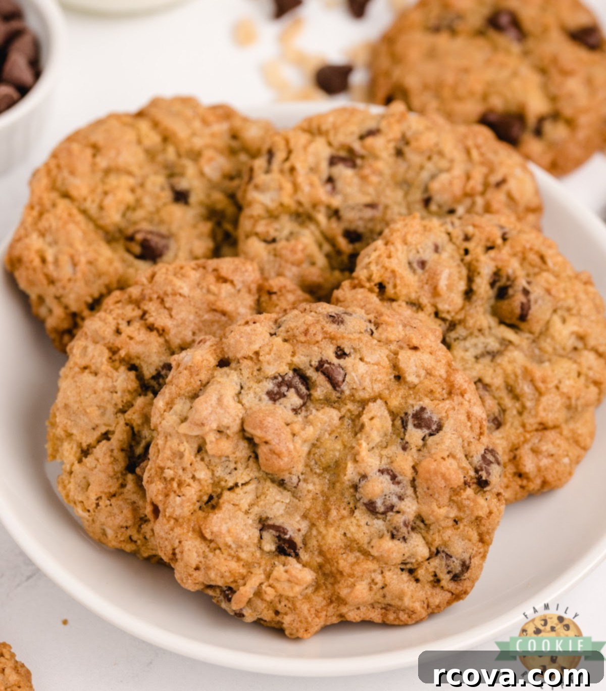 Ultimate Rice Krispie Chocolate Chip Cookies 2 Freshly baked Rice Krispie Chocolate Chip Cookies on a cooling rack, showcasing their golden-brown edges and visible chocolate chips and crispy rice cereal