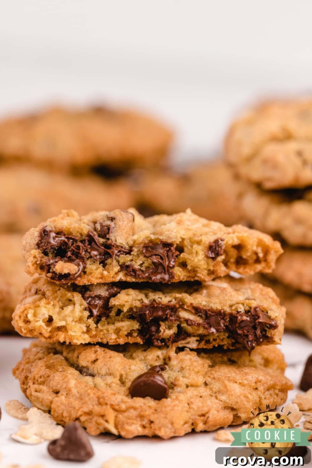 Ultimate Rice Krispie Chocolate Chip Cookies 11 Chocolate Chip Cookies with oats and Rice Krispies, perfectly golden brown and inviting