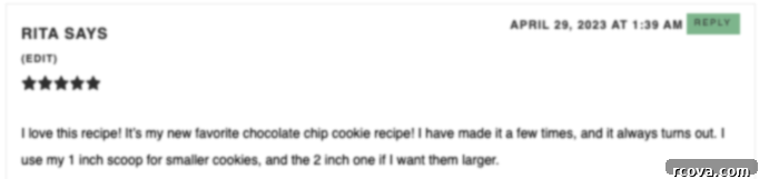 Ultimate Rice Krispie Chocolate Chip Cookies 4 Customer review praising the cookie recipe's ease and deliciousness