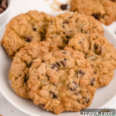 Ultimate Rice Krispie Chocolate Chip Cookies 10 Rice Krispie Chocolate Chip Cookies