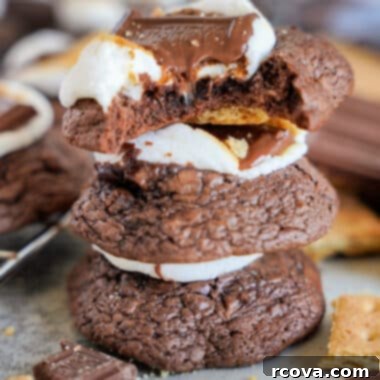 S'mores Brownie Cookies 14 img 37484 13