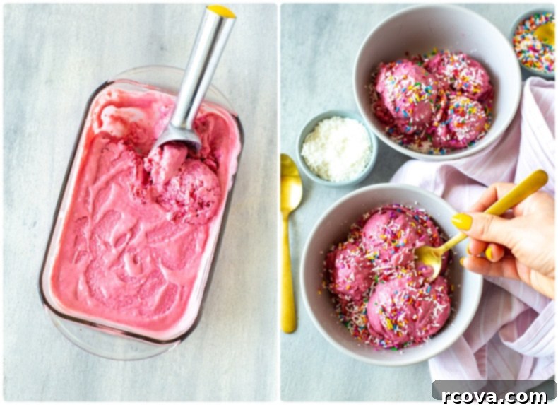 Four Ingredient Homemade Frozen Yogurt 8 A vibrant bowl of 4-Ingredient Frozen Yogurt, garnished with fresh berries and chocolate chips, shot from an appealing angle.