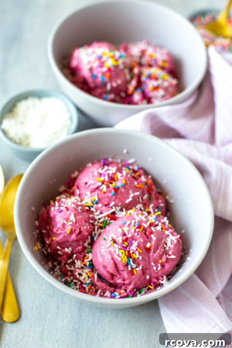 Four Ingredient Homemade Frozen Yogurt 9 A refreshing bowl of 4-Ingredient Frozen Yogurt, beautifully presented and ready for a healthy treat.