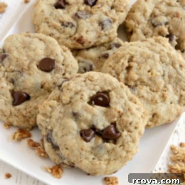 Crunchy Granola Chocolate Delights 6 img 3780 5