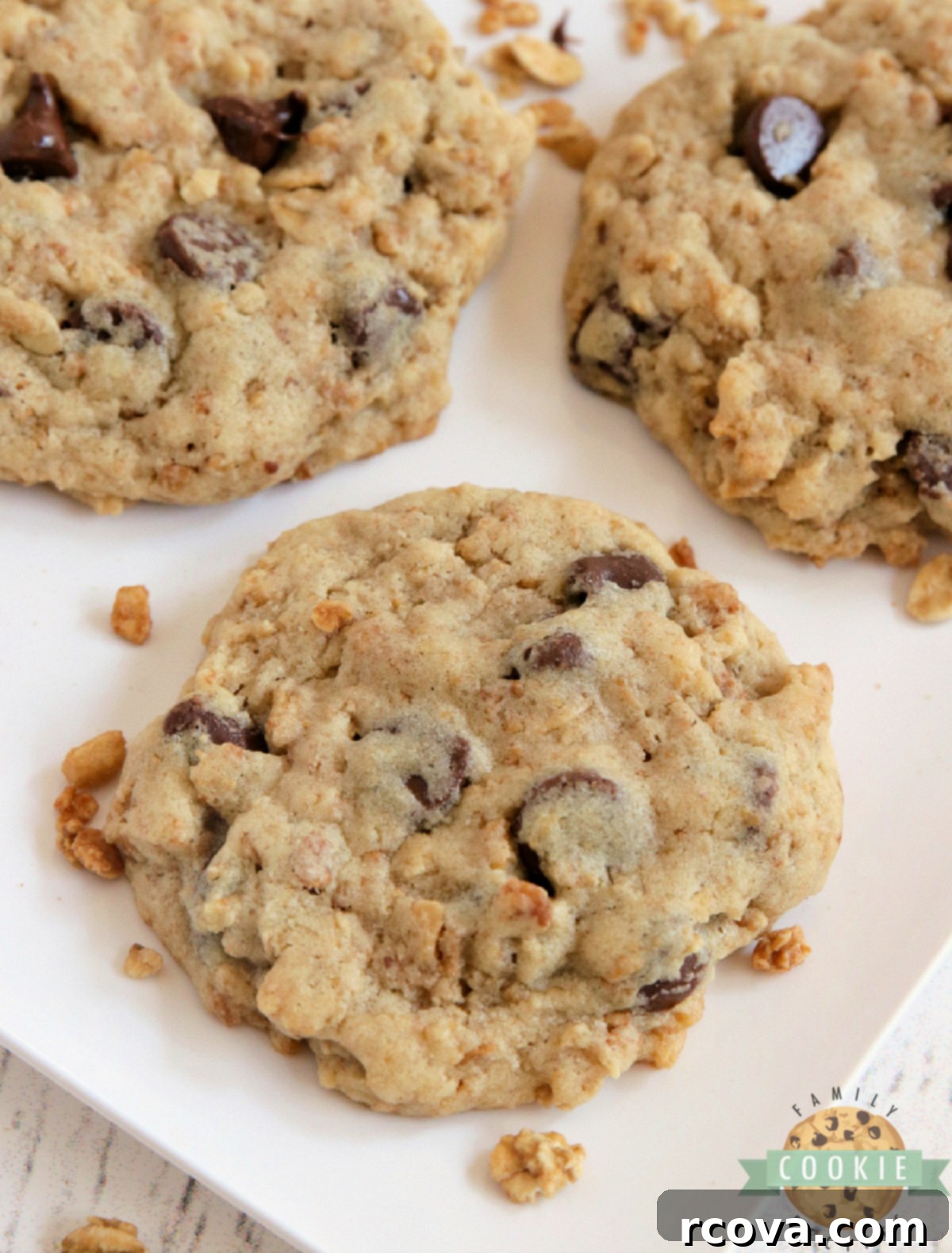 Crunchy Granola Chocolate Delights 7 A close-up shot of a single Granola Chocolate Chip Cookie, showing its soft interior, chewiness, and abundant mix-ins.