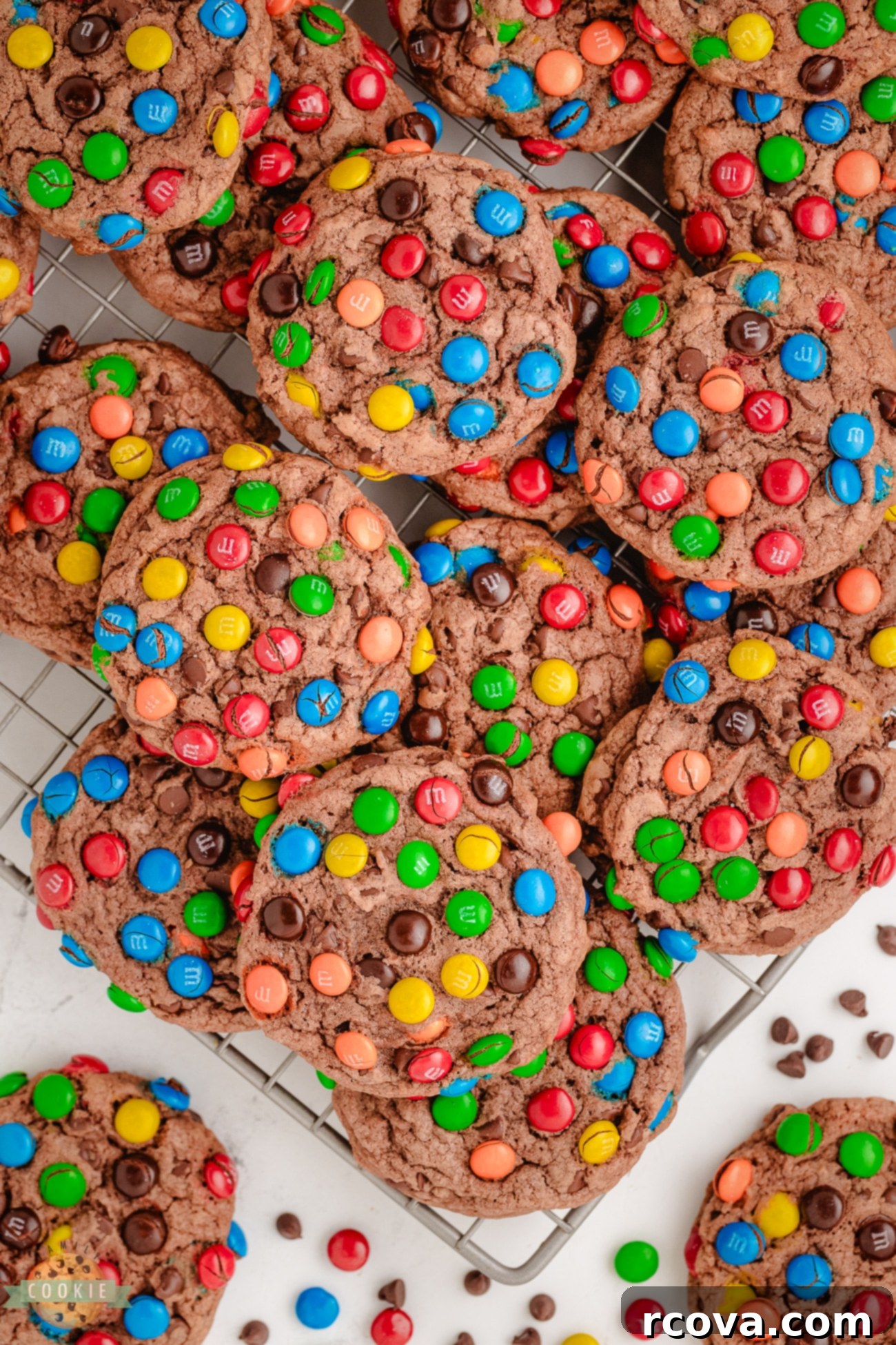 Chewy Chocolate M&M Pudding Cookies 5 chocolate pudding cookies topped with M&Ms on a cooling rack