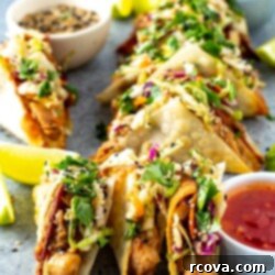 Applebee's Crispy Chicken Wonton Tacos 11 Applebee's Chicken Wonton Tacos - A circular image showcasing the final dish.