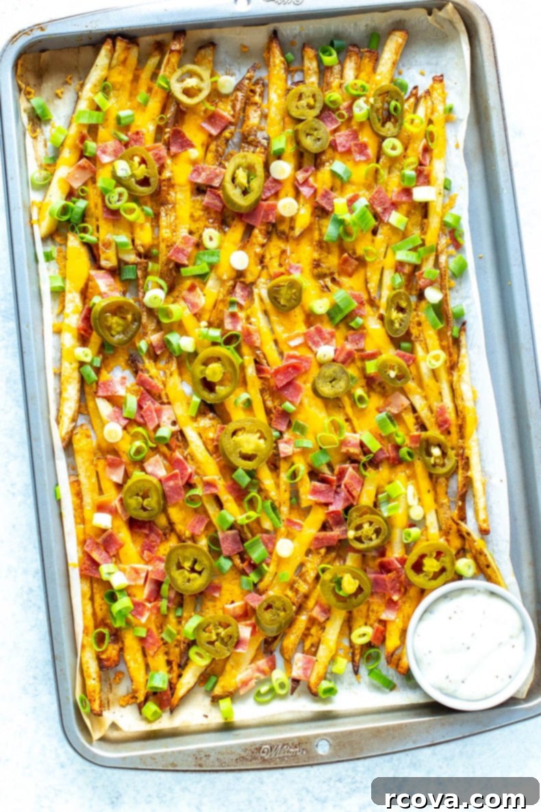Homemade Oven Baked Chilis Texas Cheese Fries 5 Texas Cheese Fries in a basket, freshly made