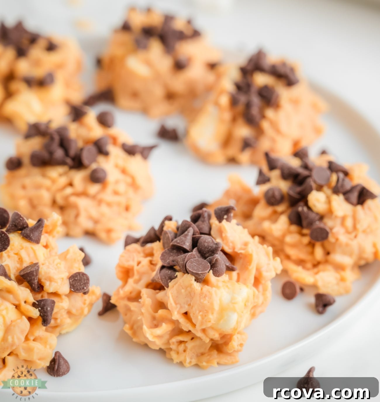 Easy Avalanche Bites 2 Delightful No-Bake Avalanche Cookies on a white plate, showcasing their soft, chewy, and crispy texture with visible white chocolate, marshmallows, and mini semi-sweet chocolate chips.