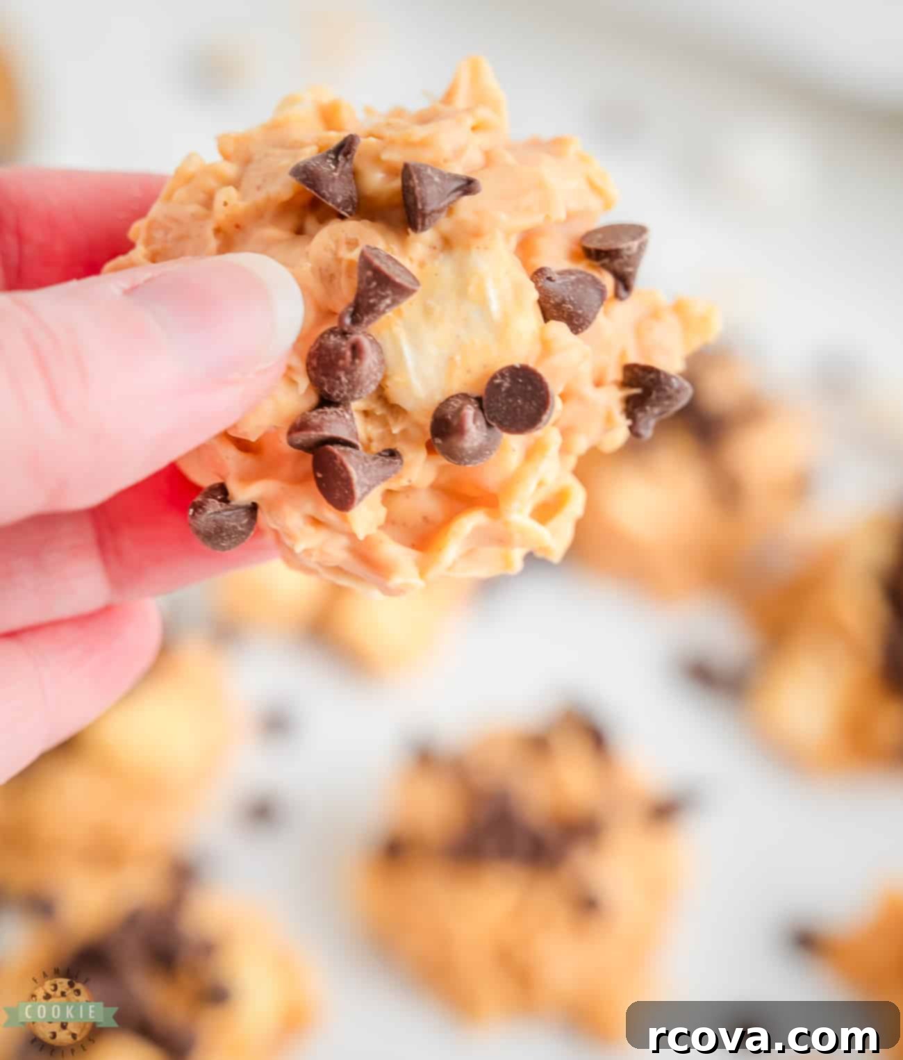 Easy Avalanche Bites 5 A hand holding a perfectly formed peanut butter avalanche cookie, showcasing its delicious texture.