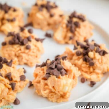Easy Avalanche Bites 6 Delightful No-Bake Avalanche Cookies on a white plate, showcasing their soft, chewy, and crispy texture with visible white chocolate, marshmallows, and mini semi-sweet chocolate chips.