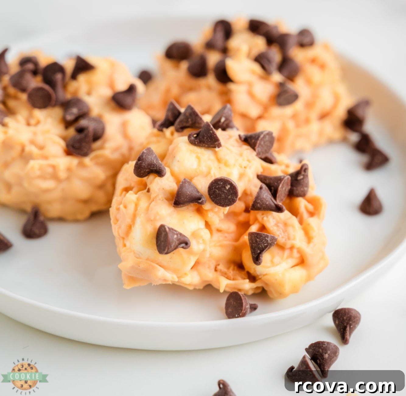 Easy Avalanche Bites 7 A plate of delicious peanut butter marshmallow no-bake krispie cookies, ready to be enjoyed.