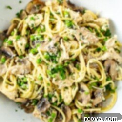The Ultimate Turkey Tetrazzini Bake 11 Best Ever Turkey Tetrazzini
