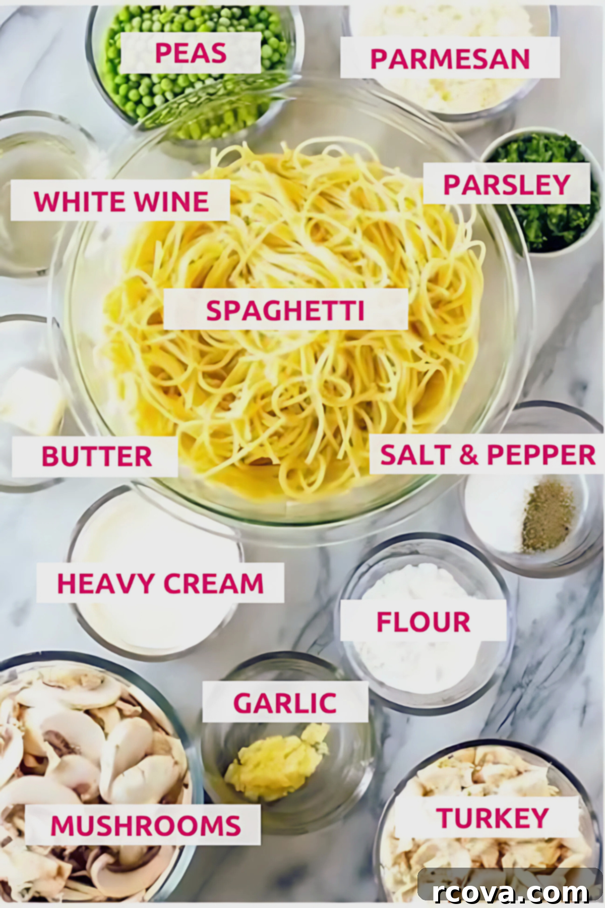 The Ultimate Turkey Tetrazzini Bake 4 Overhead shot of the ingredients with labels for best turkey tetrazzini recipe.