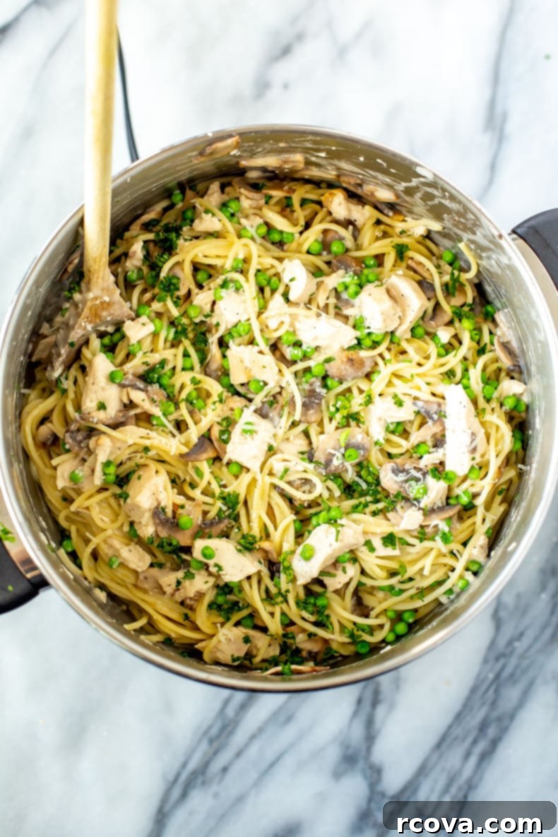 The Ultimate Turkey Tetrazzini Bake 8 Best Ever Turkey Tetrazzini - A comforting pasta dish ready to be enjoyed.