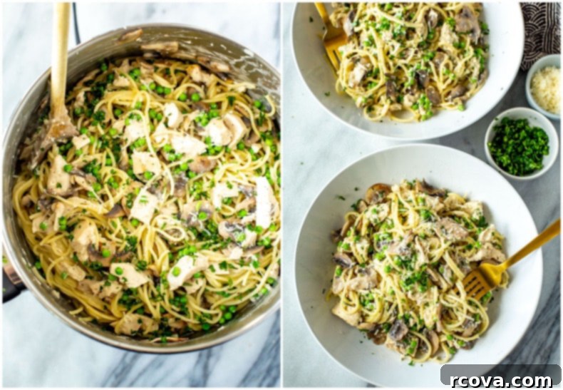 The Ultimate Turkey Tetrazzini Bake 9 Best Ever Turkey Tetrazzini - A close up of the creamy pasta dish.