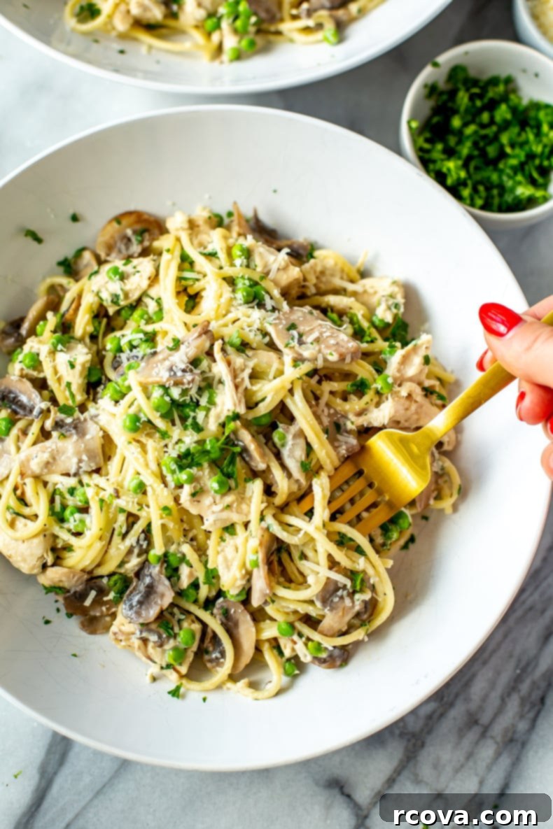 The Ultimate Turkey Tetrazzini Bake 10 Best Ever Turkey Tetrazzini - A full serving of the dish.