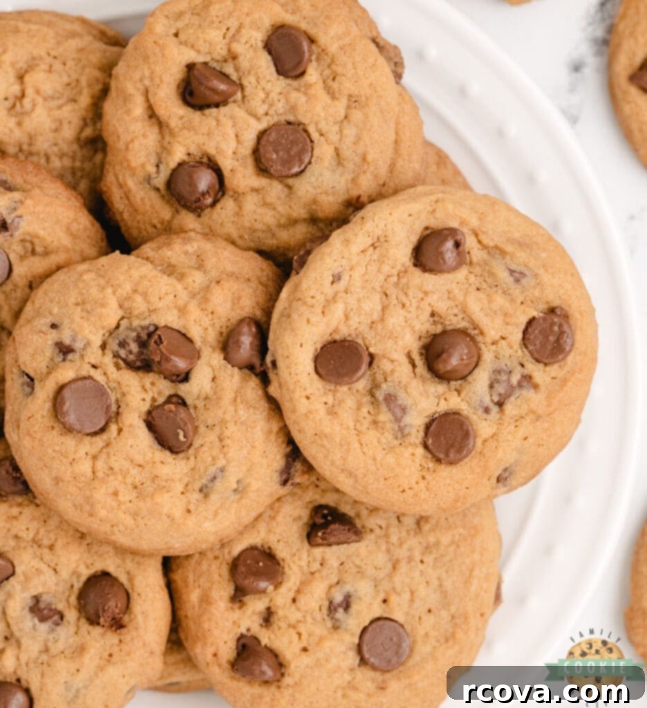 Golden Butterscotch Chocolate Chip Cookies 2 Freshly baked Butterscotch Chocolate Chip Cookies on a baking sheet, showcasing their soft texture.