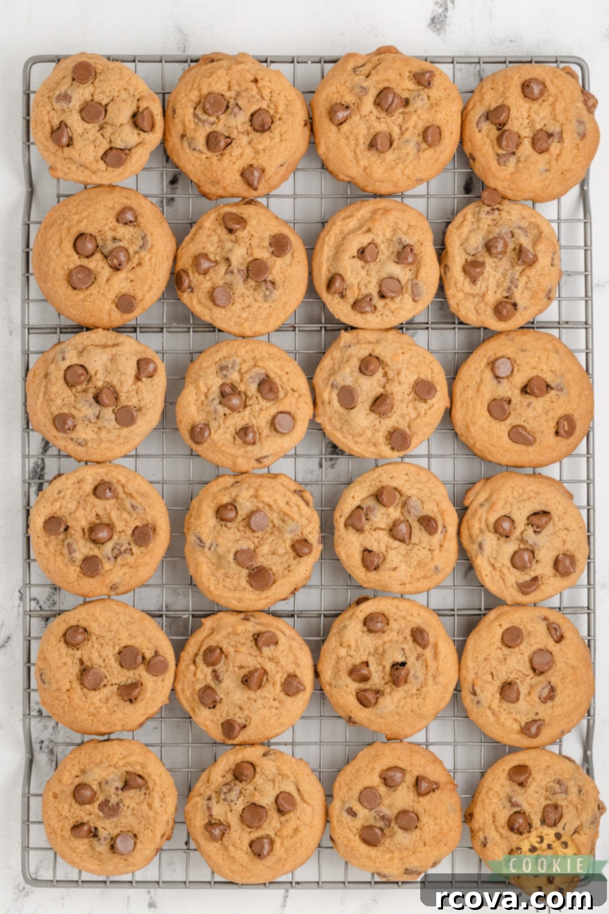 Golden Butterscotch Chocolate Chip Cookies 6 Warm Butterscotch Chocolate Chip Cookies cooling on a wire rack.