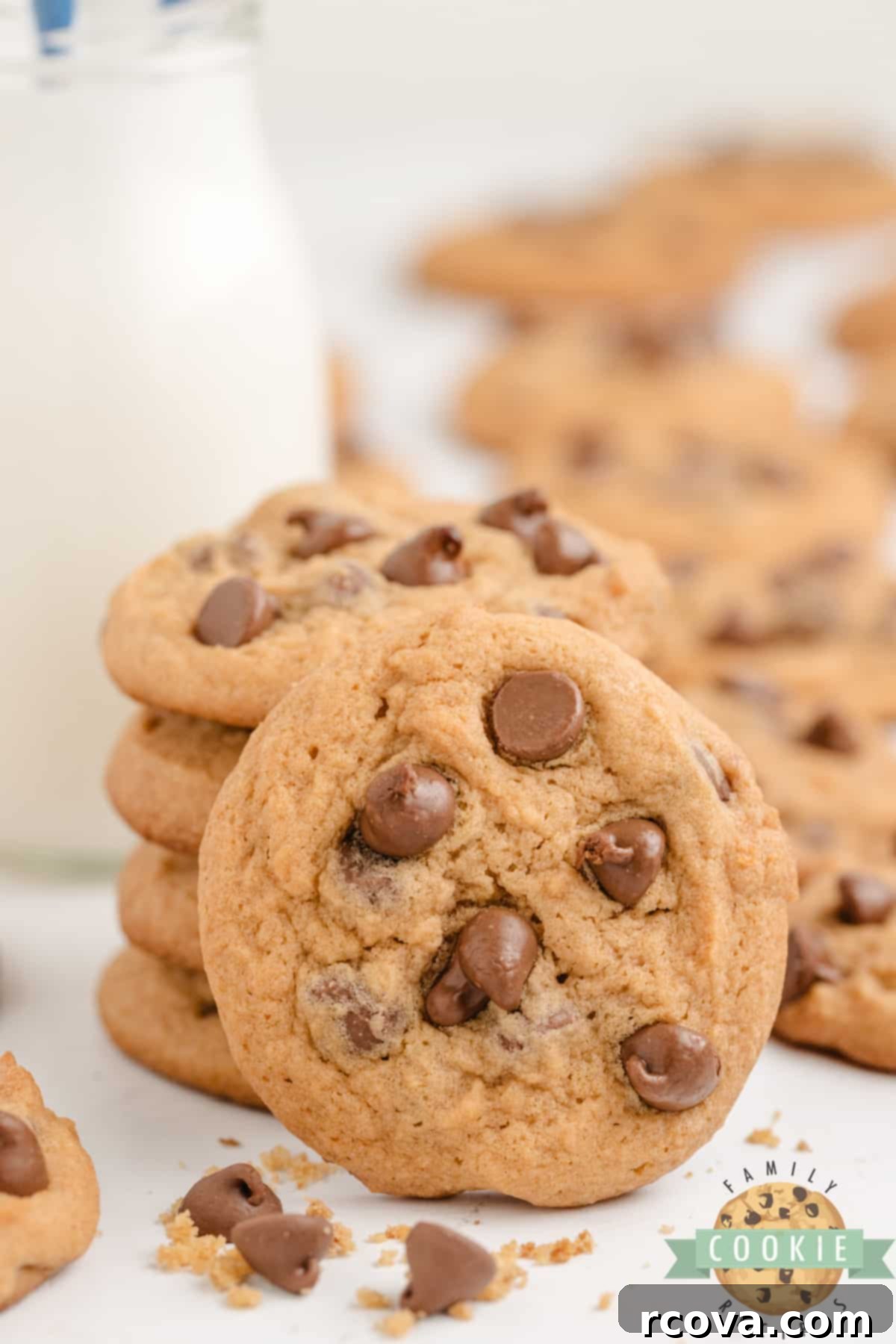 Golden Butterscotch Chocolate Chip Cookies 8 Close-up of a single Butterscotch Chocolate Chip Cookie, showing its soft interior and melted chocolate chips.