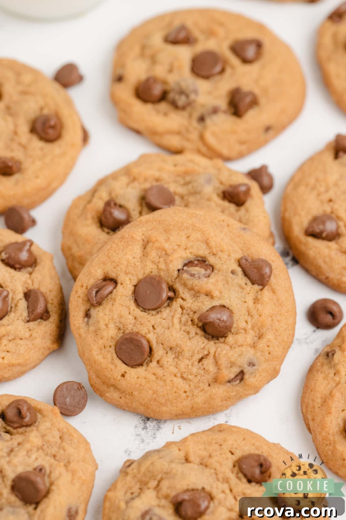 Golden Butterscotch Chocolate Chip Cookies 10 A close-up of a platter of Butterscotch Chocolate Chip Cookies, ready to be enjoyed.