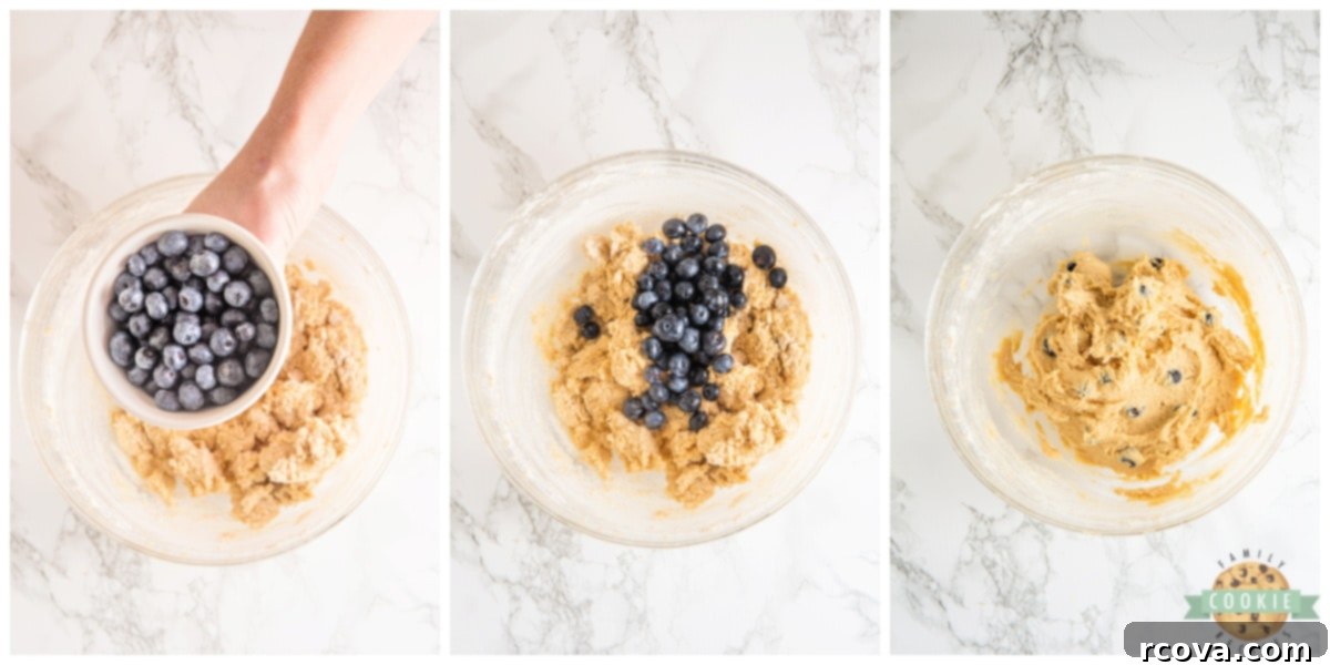 Sunshine Berry Muffin Cookies 11 Gently folding fresh blueberries into the prepared lemon cookie dough.