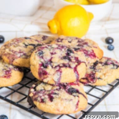 Sunshine Berry Muffin Cookies 14 Lemon Blueberry Muffin Cookies with streusel and jam