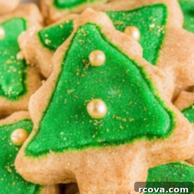 Holiday Spiced Shortbread Delights 6 Spiced Christmas Shortbread Cookies