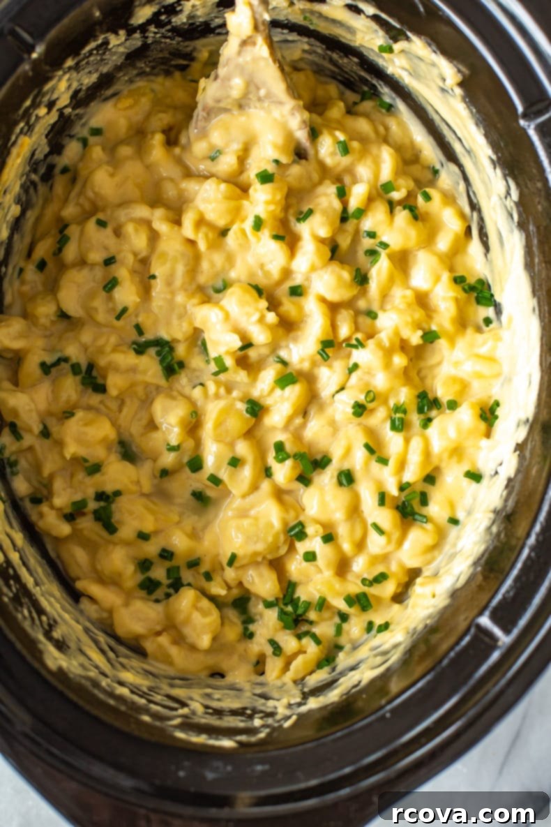 Velvety Slow Cooker Mac and Cheese 6 A bowl of creamy Slow Cooker Mac and Cheese garnished with fresh chives.