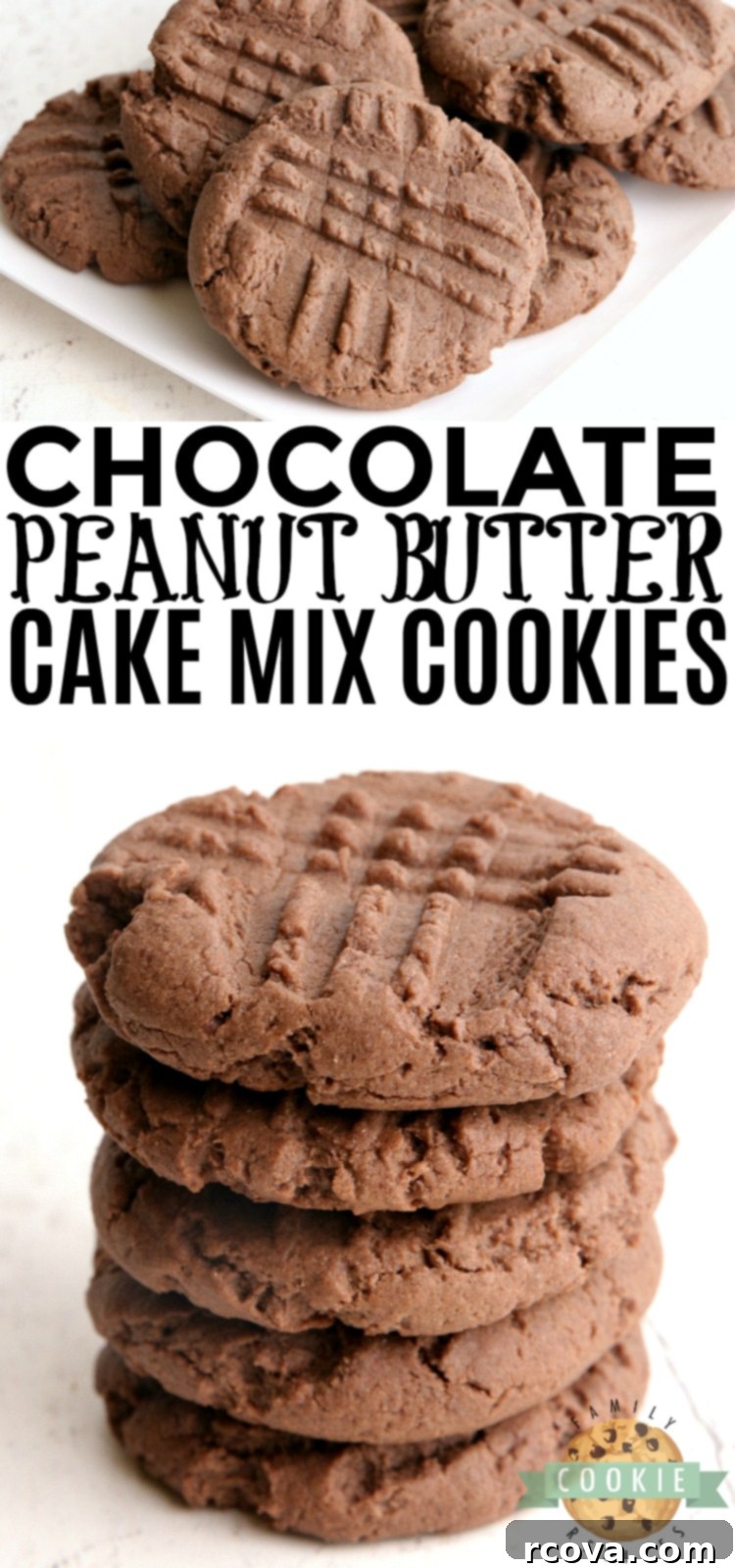 Effortless Chocolate Peanut Butter Cake Mix Cookies 8 Overhead shot of chocolate peanut butter cookies arranged artistically