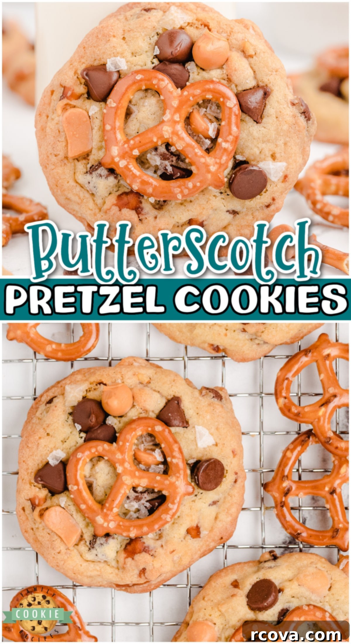 Butterscotch Pretzel Cookie Bliss 12 Sea Salt Butterscotch Pretzel Cookies are sweet and salty cookies that pack a crunch & a whole lot of flavor! With sea salt, pretzels, chocolate + butterscotch chips, these loaded cookies are amazing!